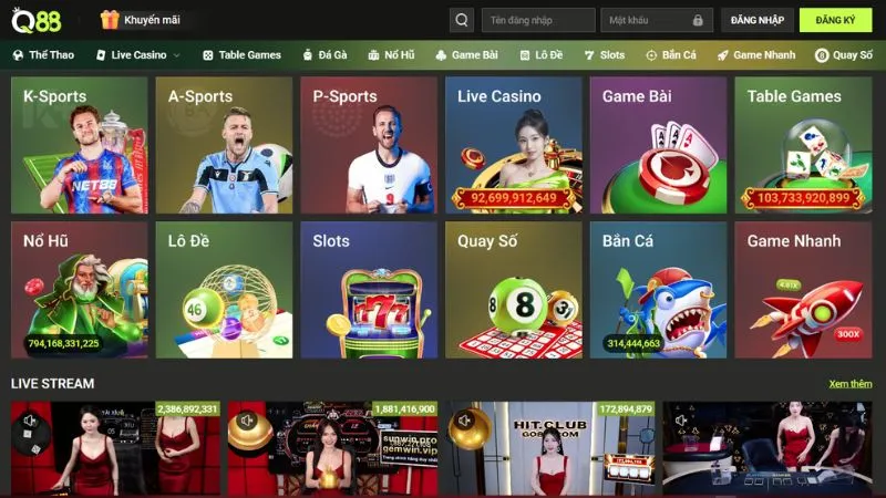 Các Loại Hình Dịch Vụ Chính Tại Q88 Các Loại Hình Dịch Vụ Chính Tại Q88