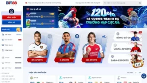 Sơ lược về nhà cái BOT88