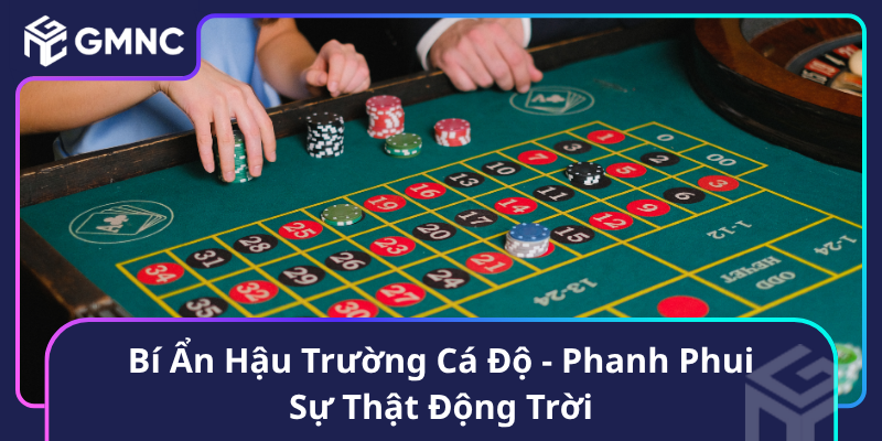 Bí Ẩn Hậu Trường Cá Độ - Phanh Phui Sự Thật Động Trời